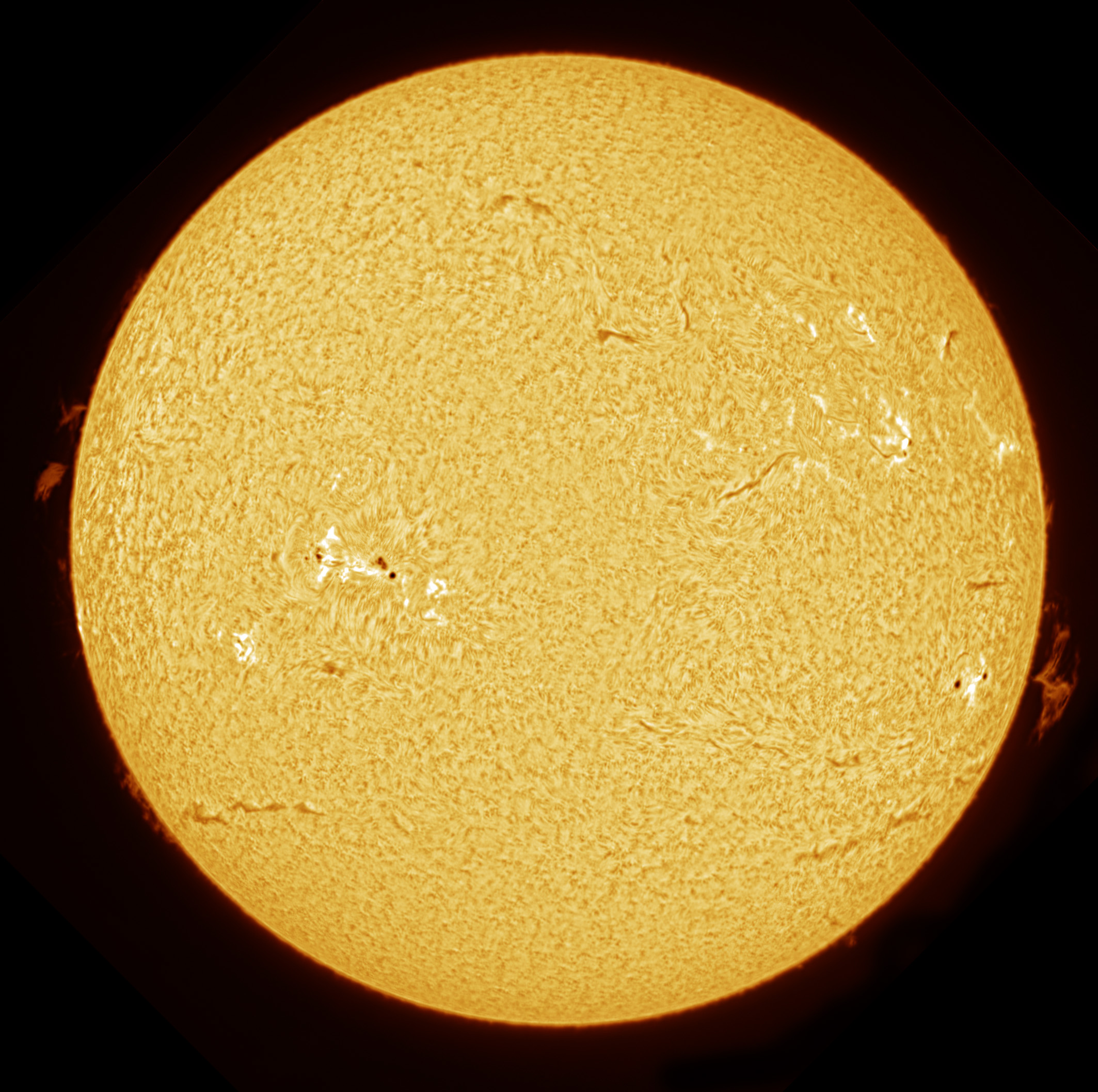 2025-03-05-1357-Ha-Sun.jpg
