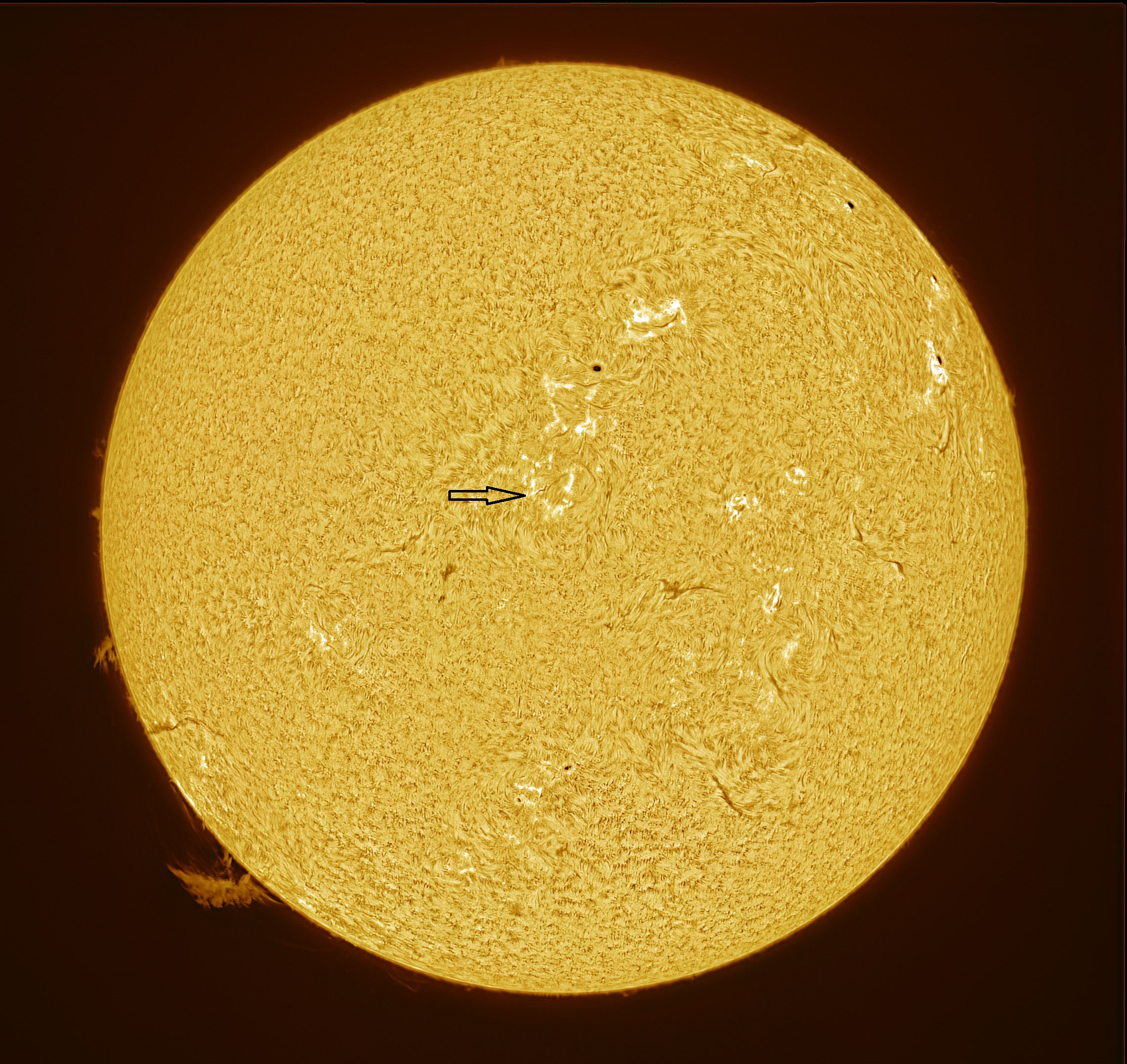 2025-03-21-1155-Ha-Sun.jpg