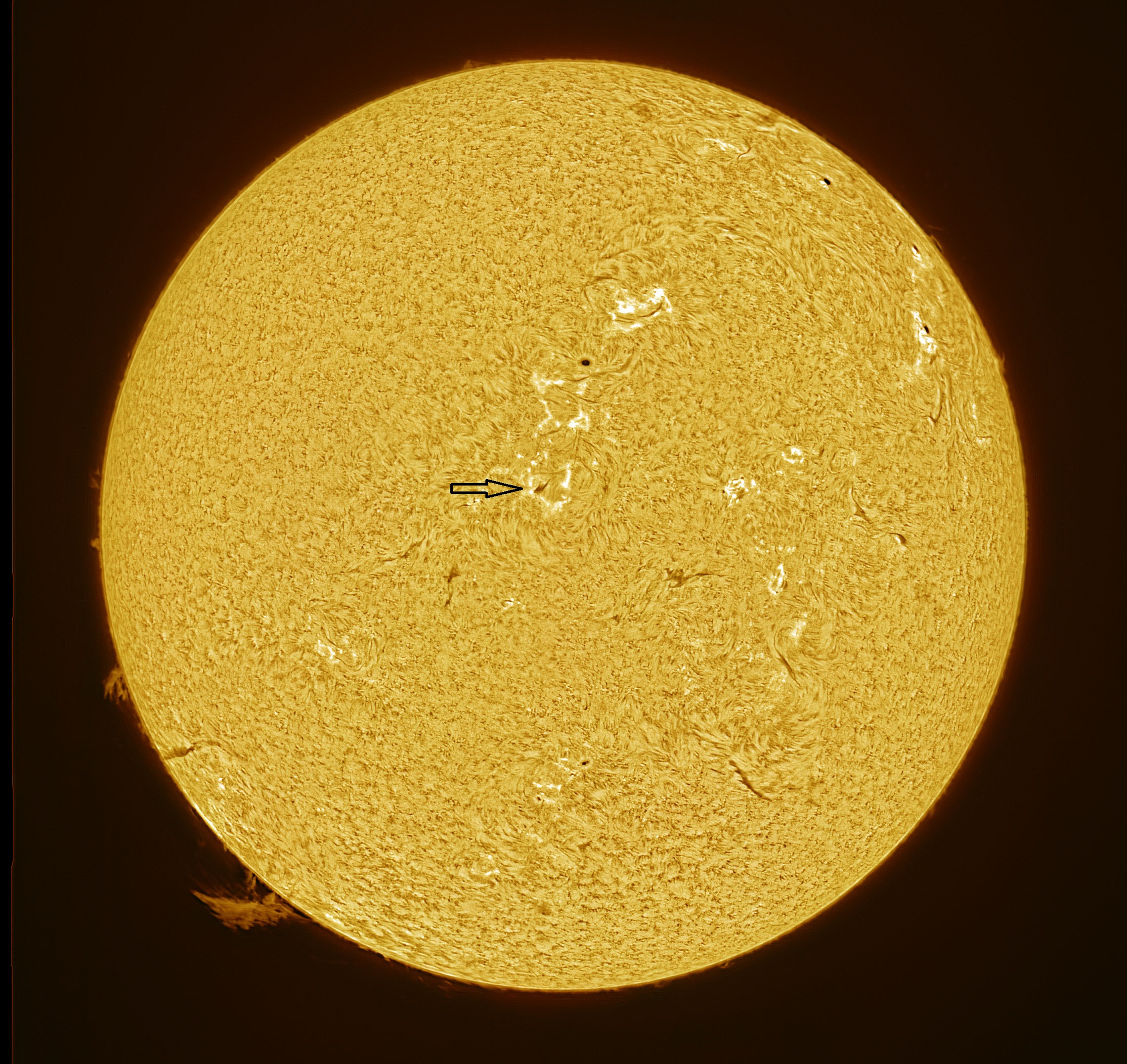 2025-03-21-1210-Ha-Sun.jpg