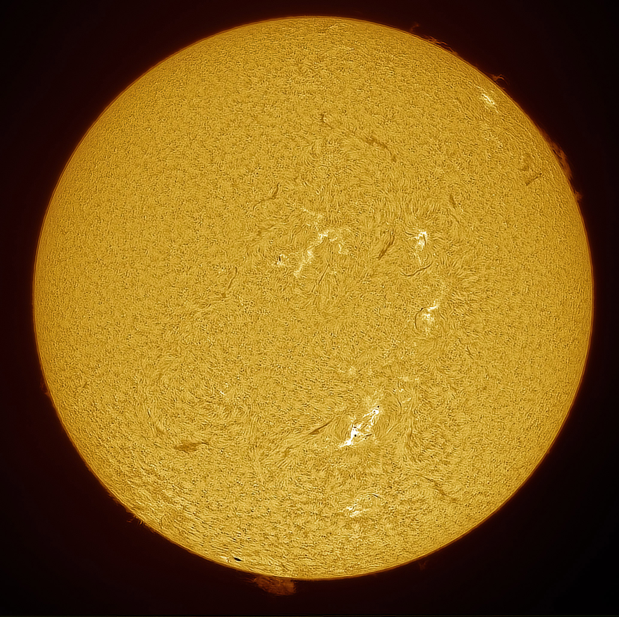2025-03-28-1418-Ha-Sun.jpg