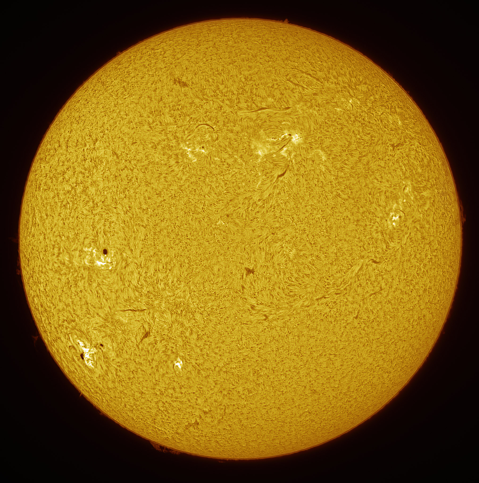 2025-03-31-1406-Ha-Sun.jpg