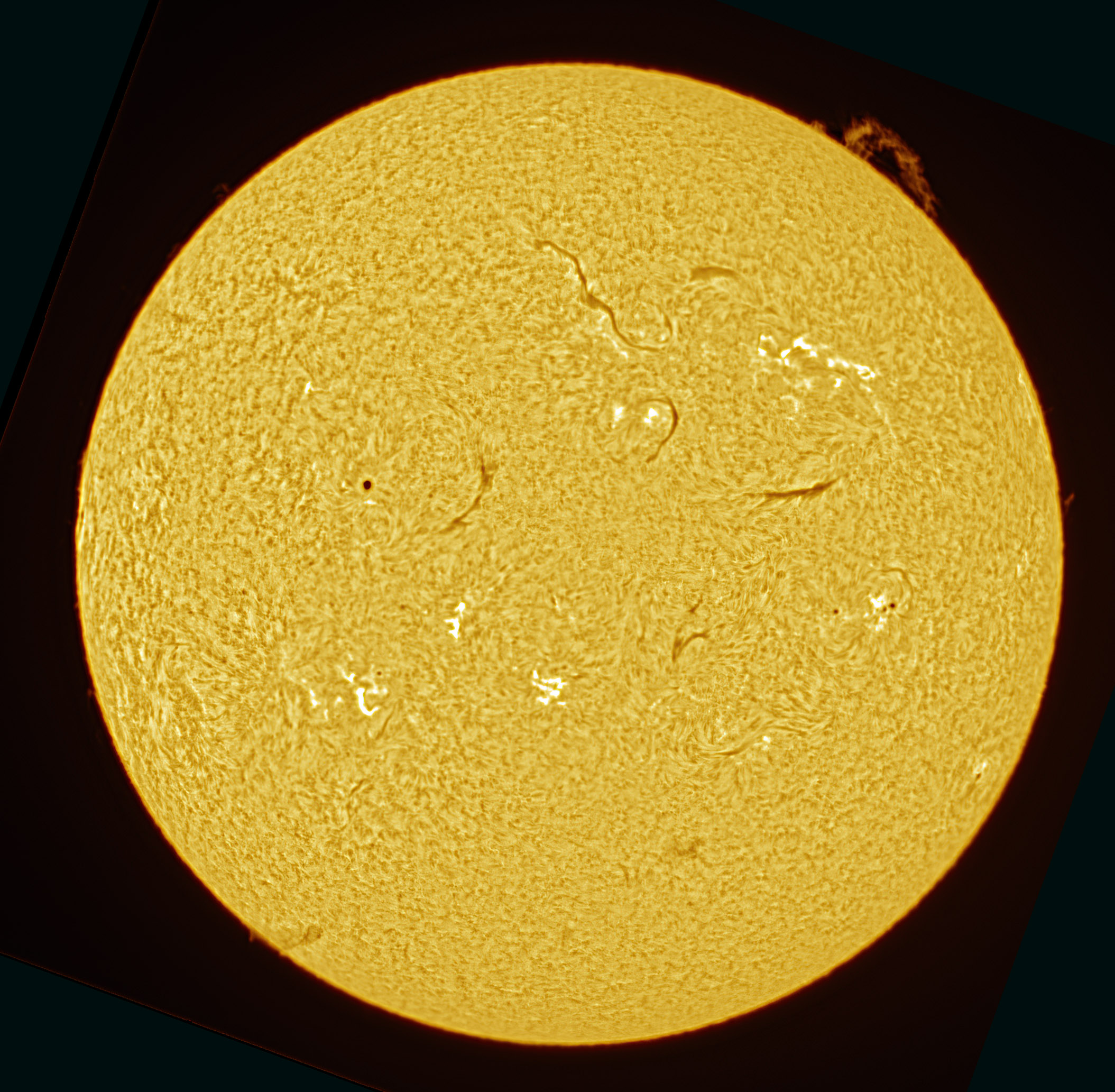 2025-04-28-1324 S Ha.jpg
