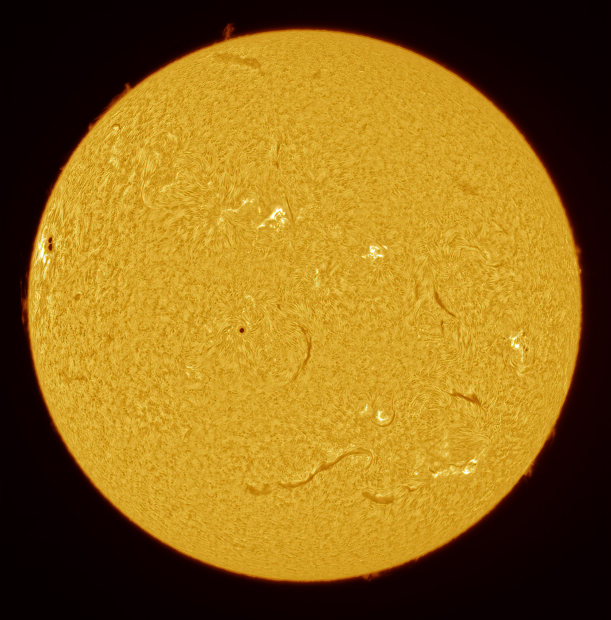 2025-04-29-1347-Sun_Ha.jpg