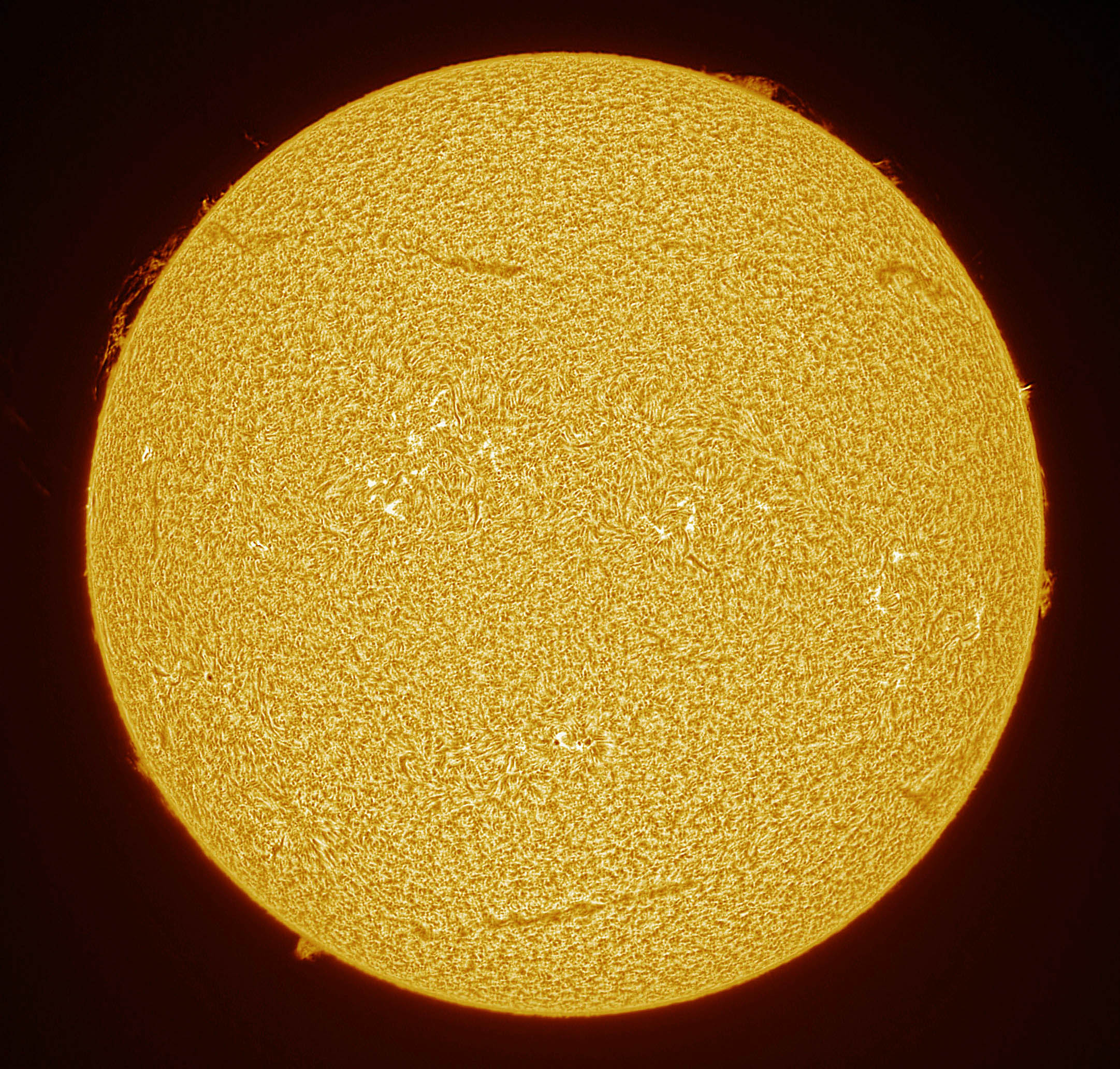 2025-08-20-1114_5-U-L-Sun_Halpha.jpg