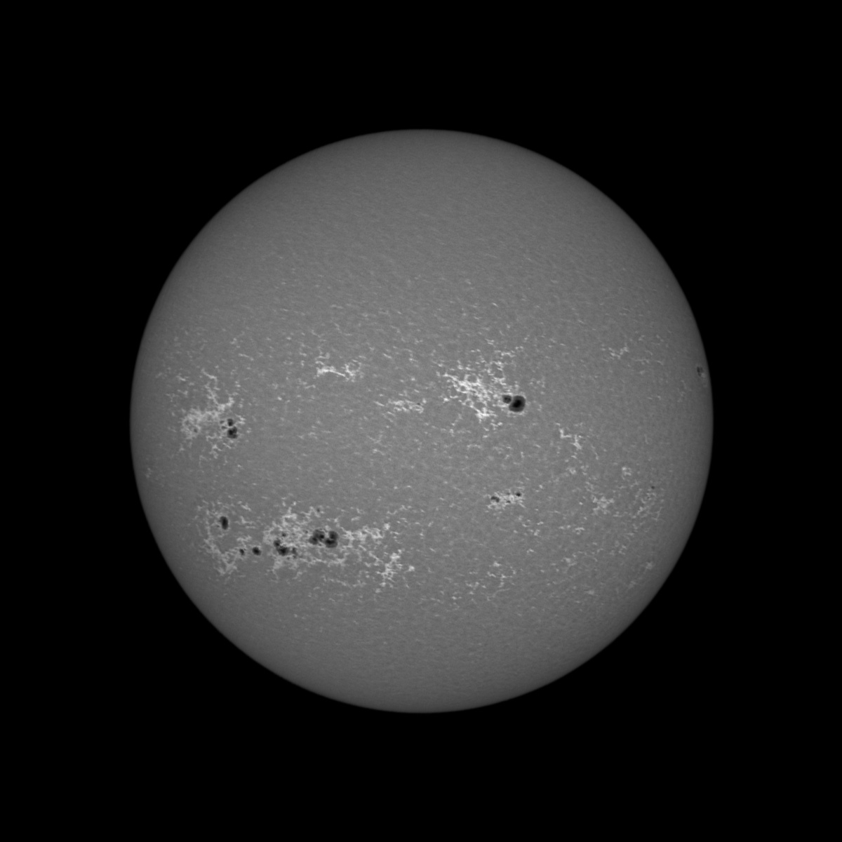 2025-08-28-0706_2-Sun-4375p9_20250828_disk_0_00_pipp_lapl2_ap922_reg1_ps4_mono.jpg