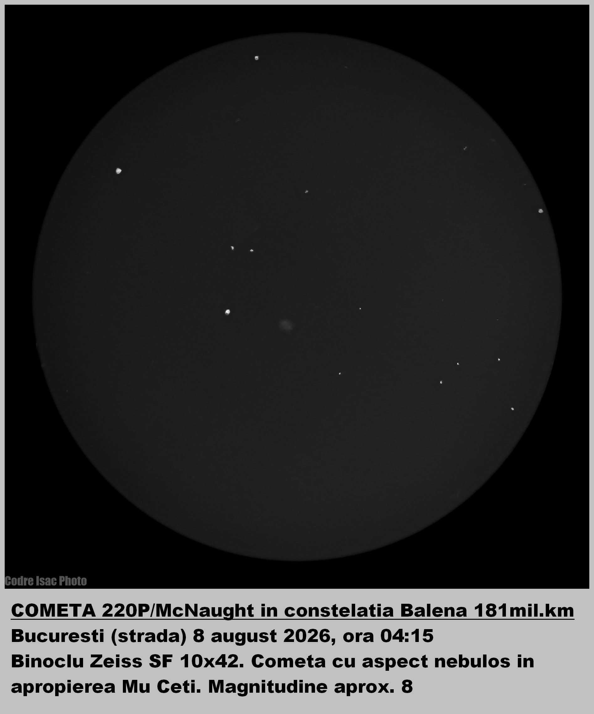 220 P McNaught.jpg