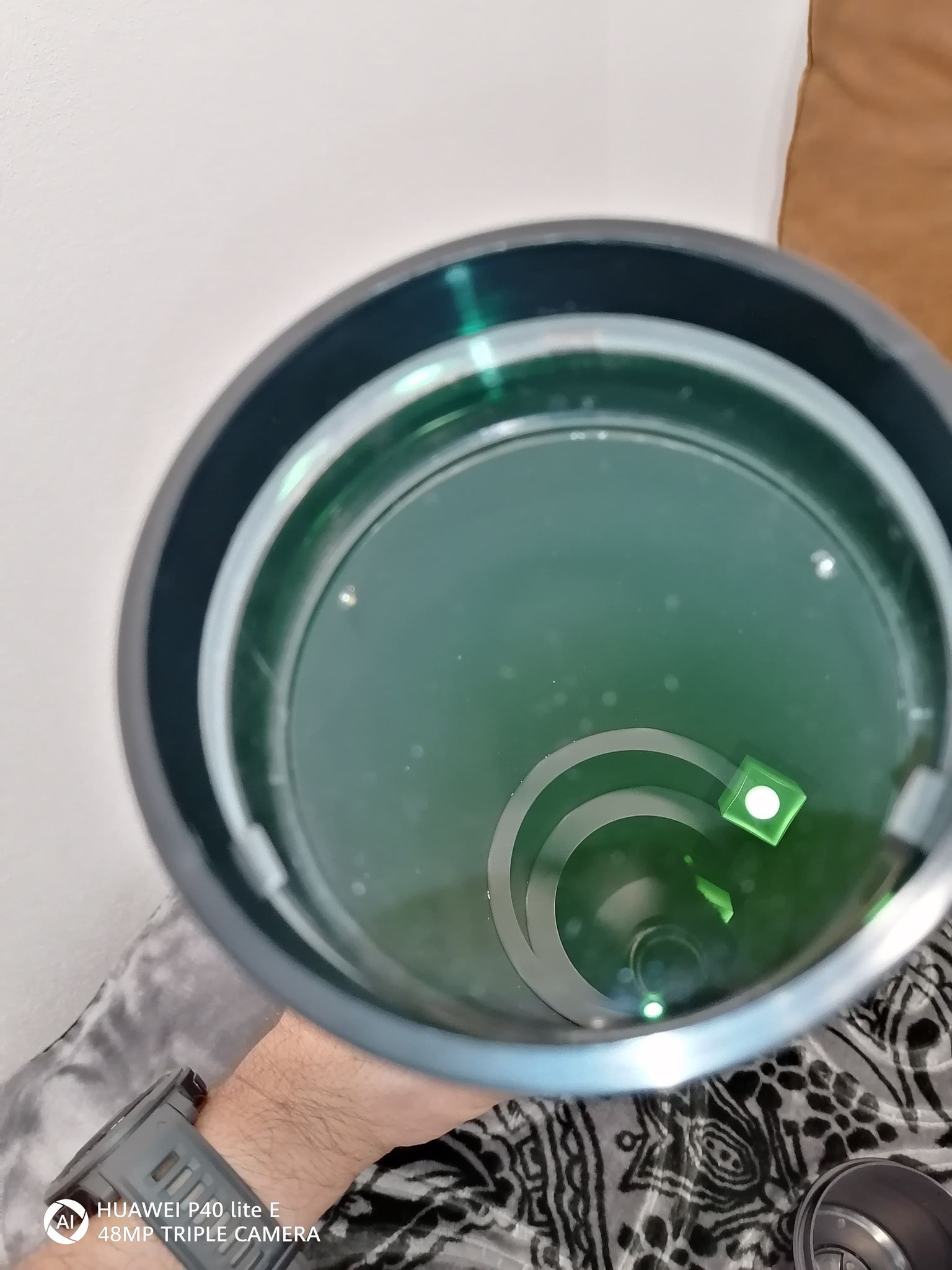310995030_1929249143946788_7815374855562853124_n.jpg