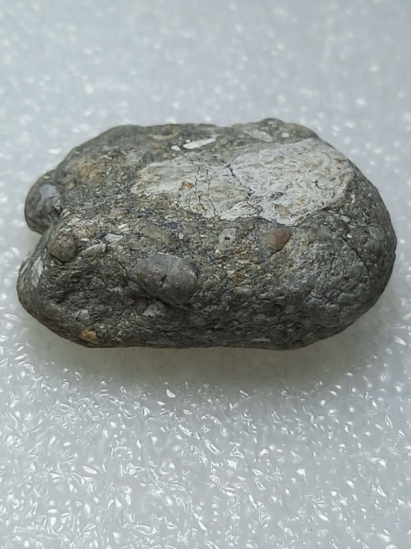 410.jpg