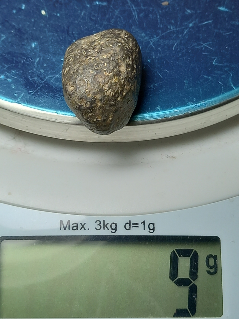 448.jpg