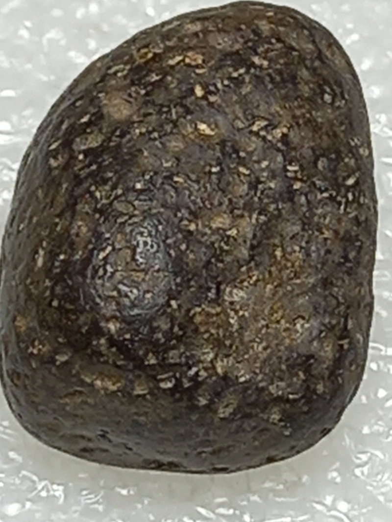 459.jpg