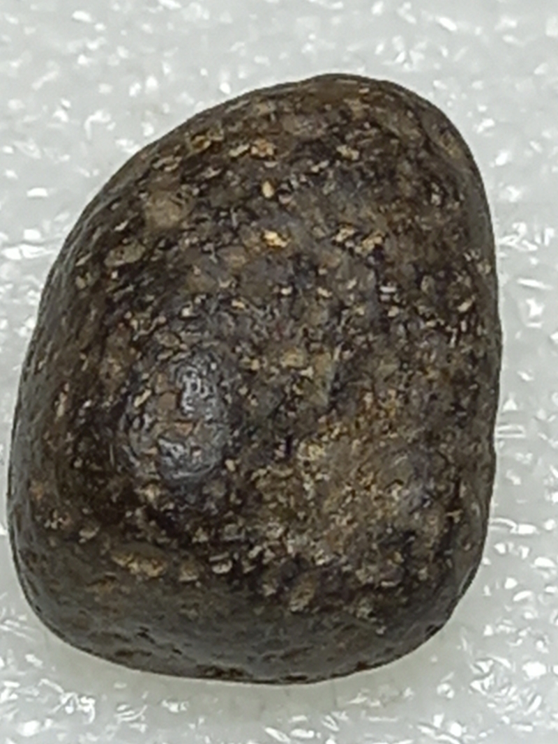 473.jpg