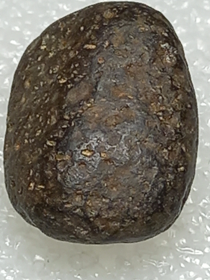 484.jpg