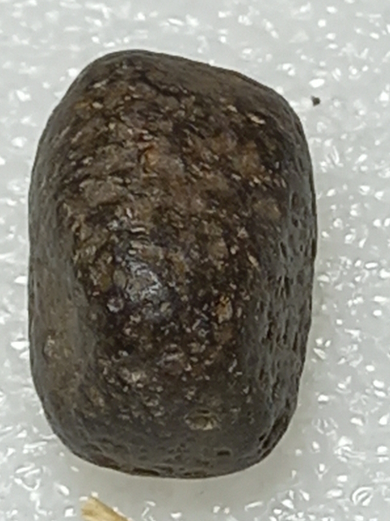 497.jpg