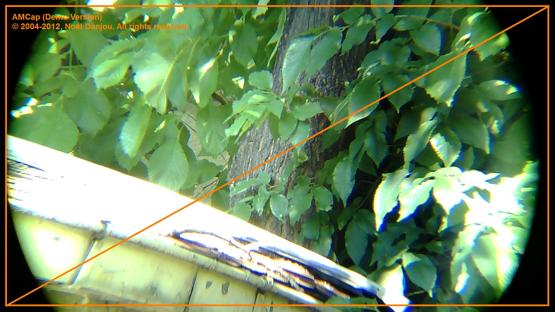 4_30x60Zoom_Take1.jpg