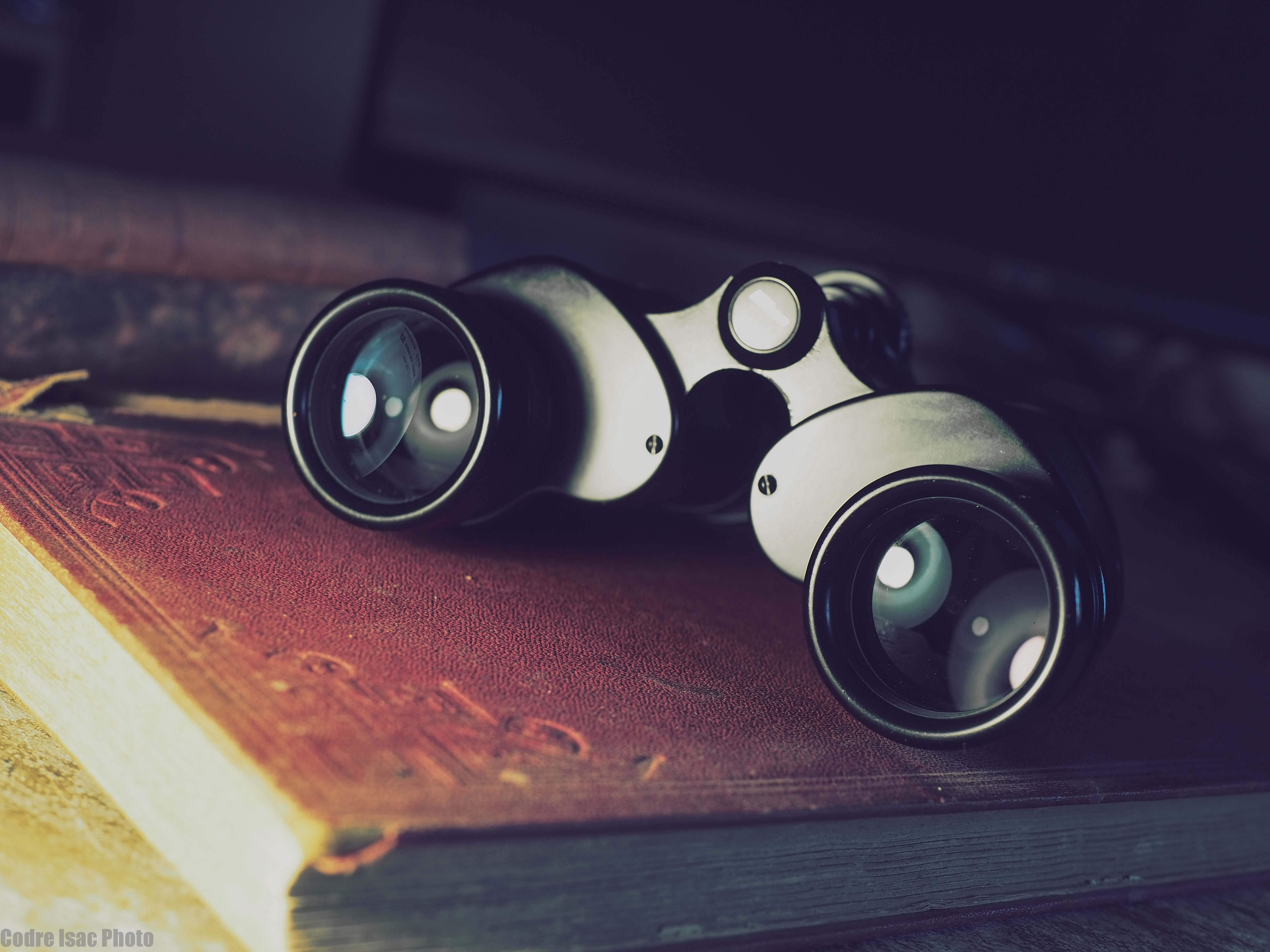 5 Nikon 7x35 E.jpg