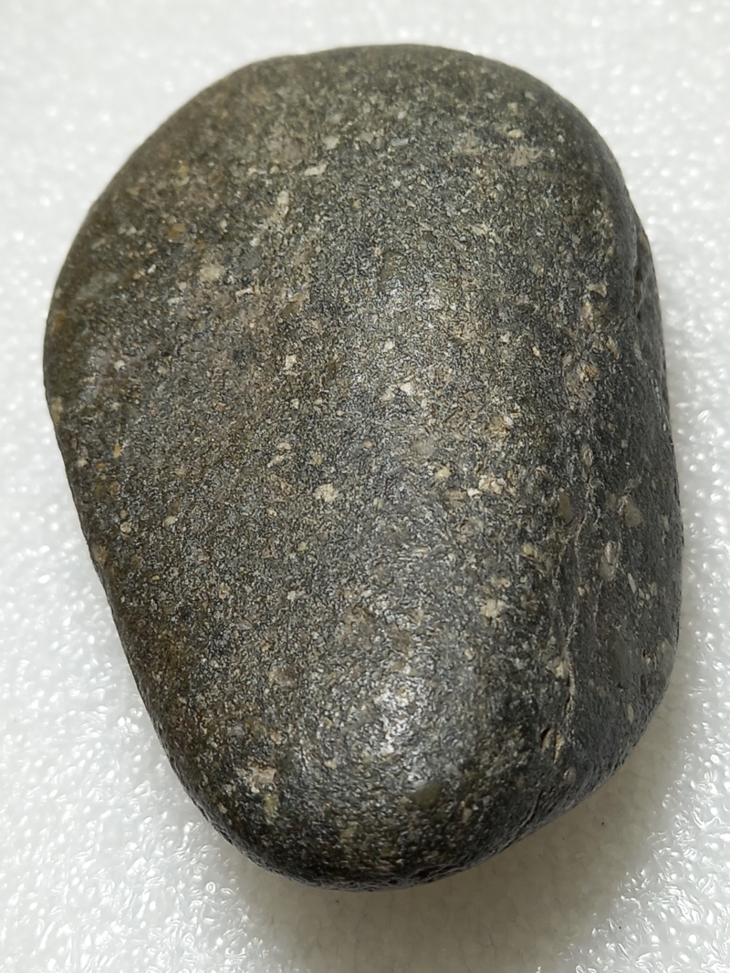 619.jpg