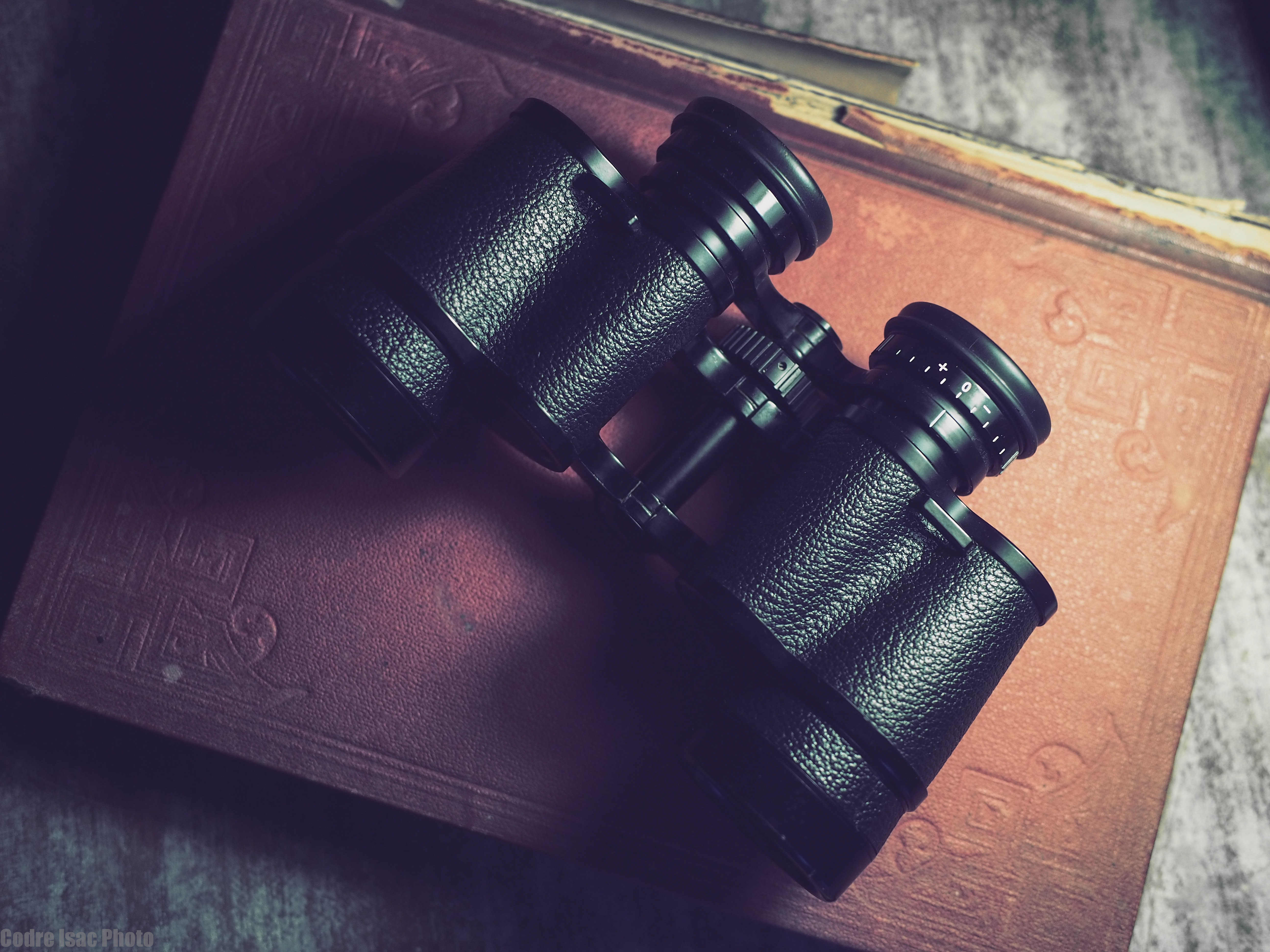 6 Nikon 7x35 E.jpg