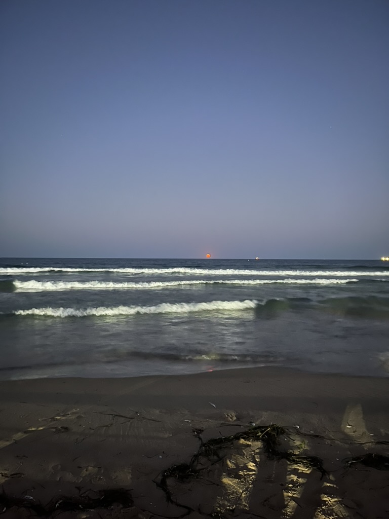 717B2875-0786-440D-B260-6433FF2FB580_1_105_c.jpg