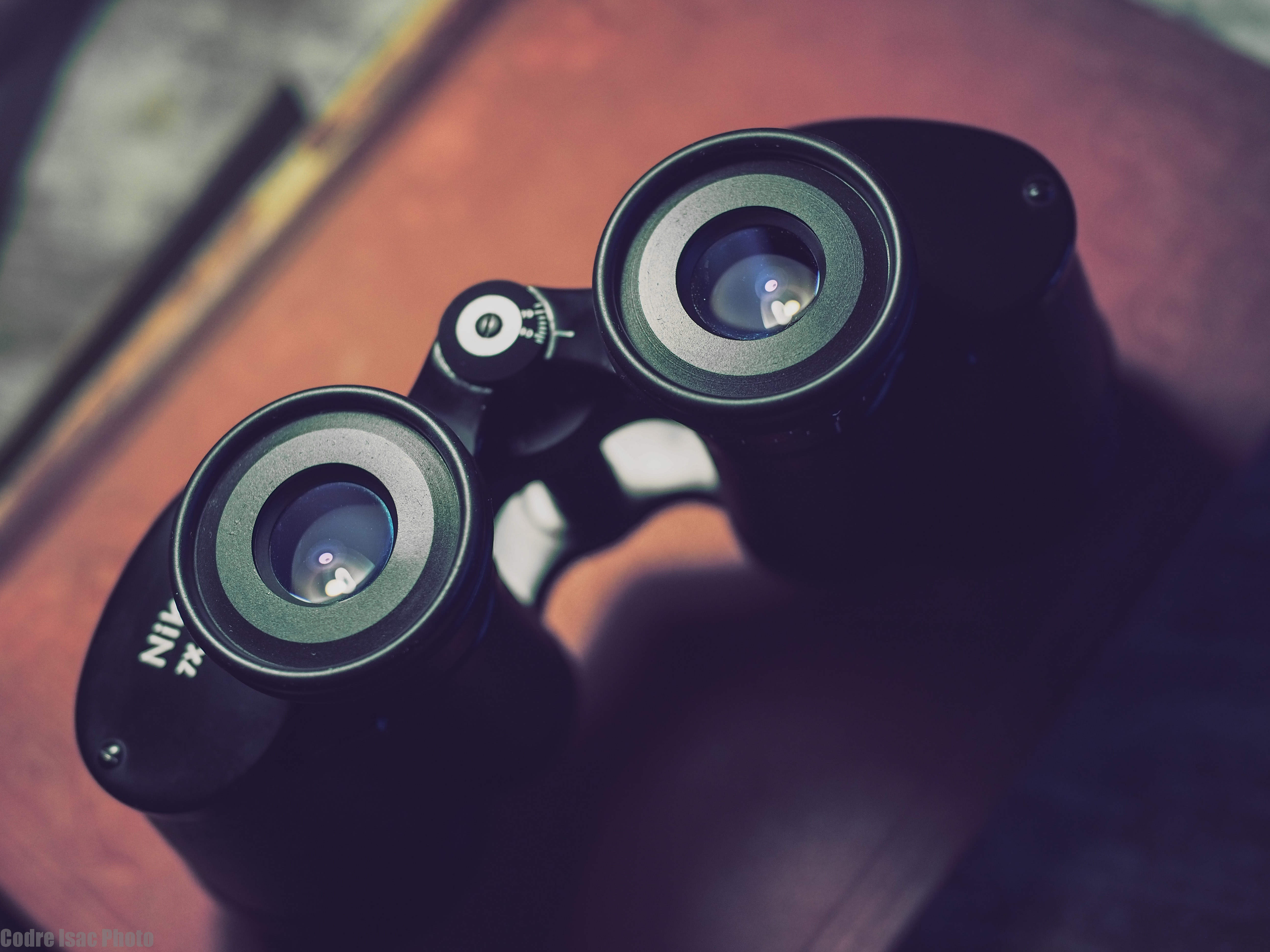 8 Nikon 7x35 E.jpg