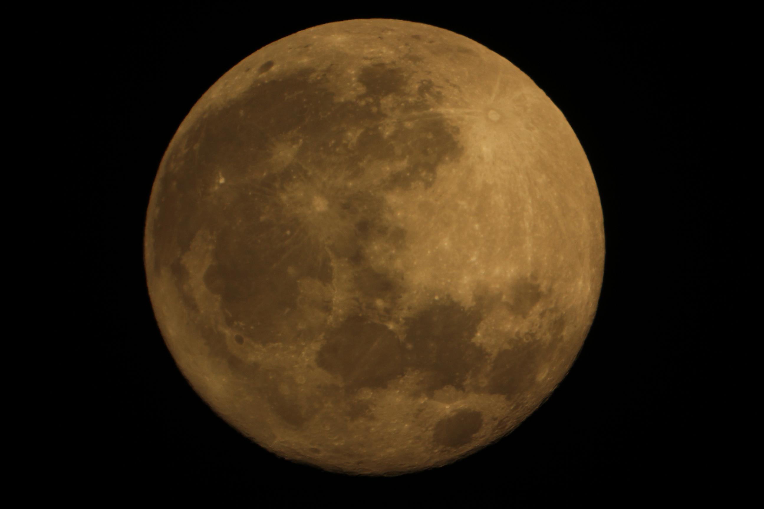 8martie2012A.jpg