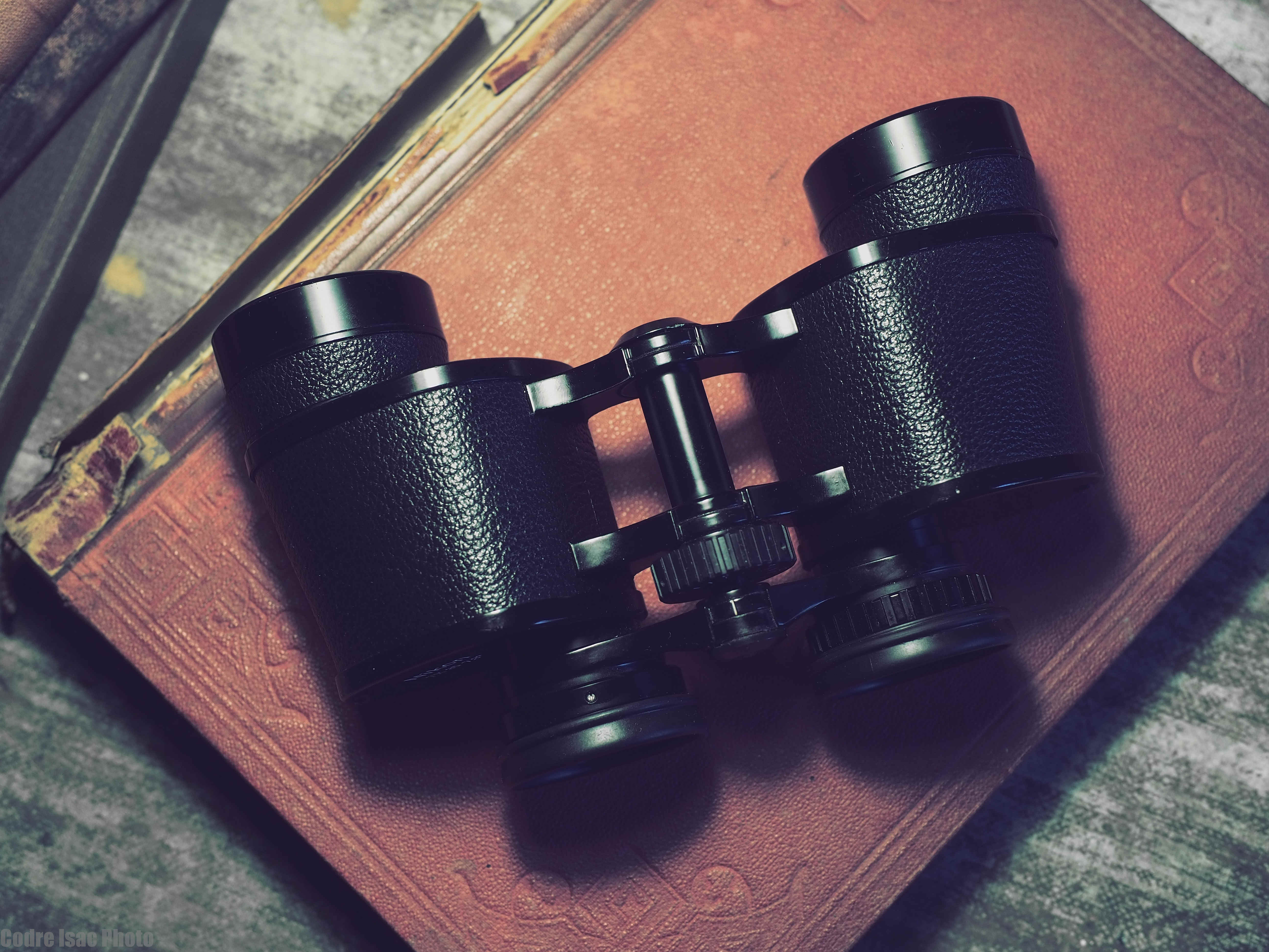 9 Nikon 7x35 E.jpg
