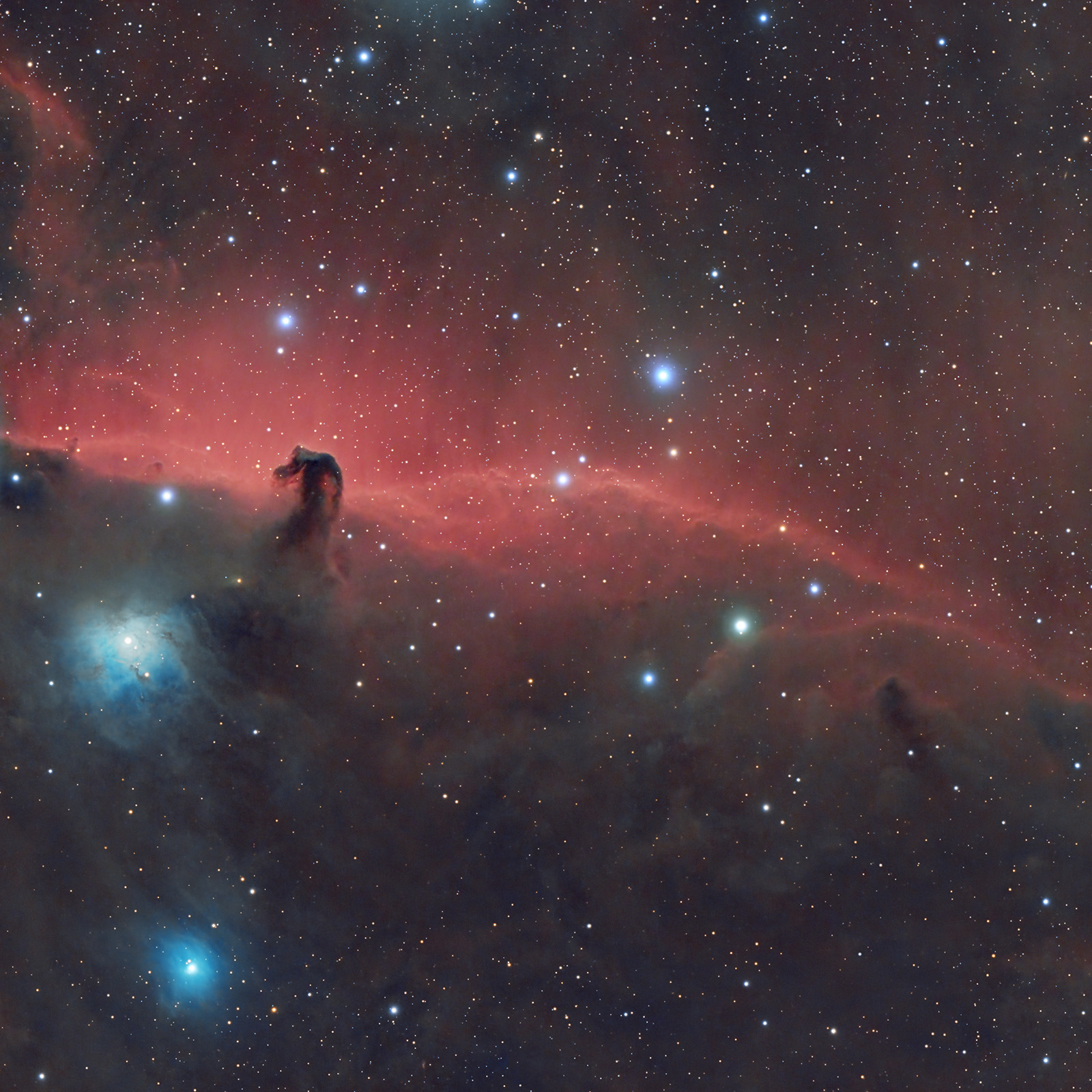 ! HorseHead_final2_mare.jpg