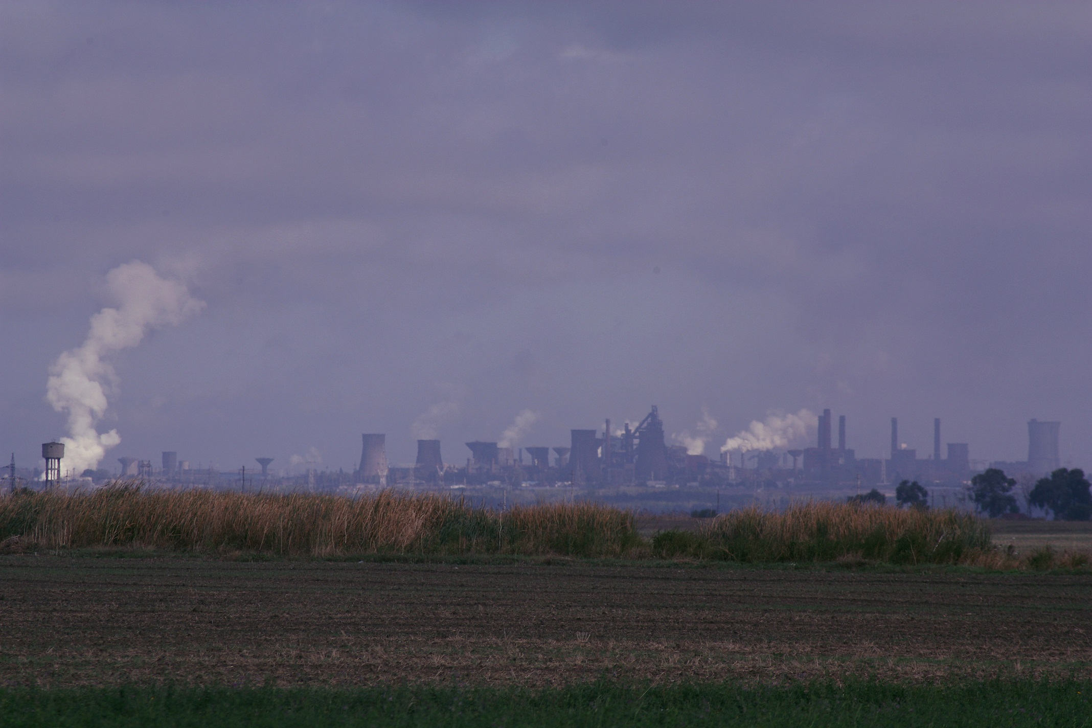 _MG_5212.JPG