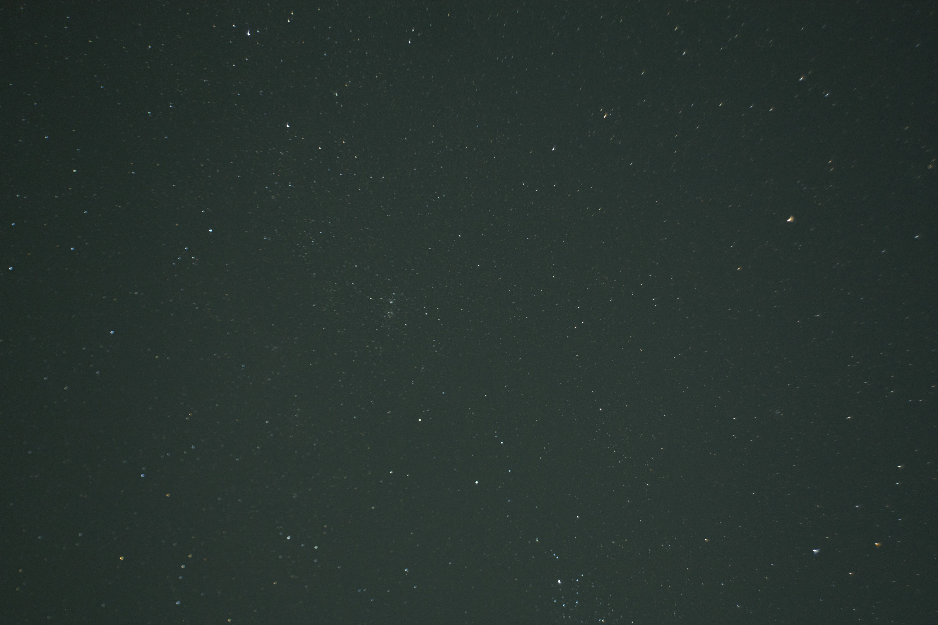 _MG_5515.jpg