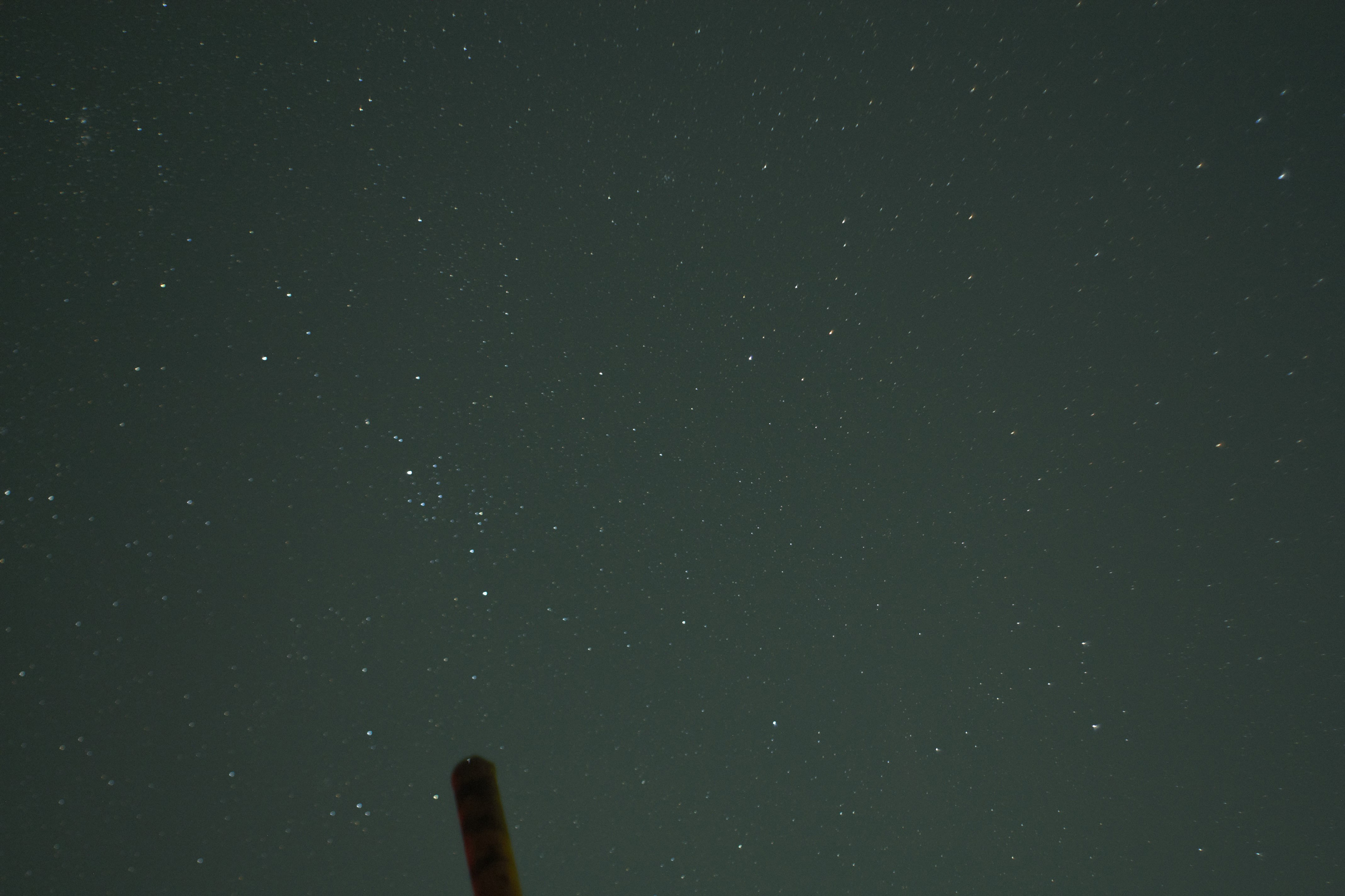 _MG_5517.jpg