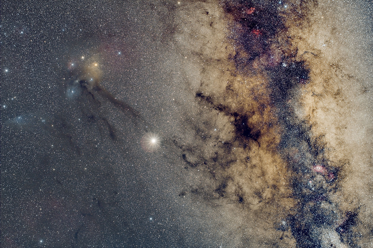 Antares-si-calutul-mic-web.jpg