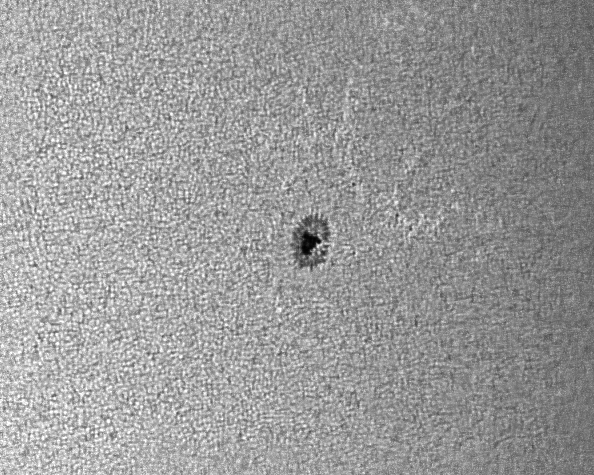 ar12818-22-04-r2021.png