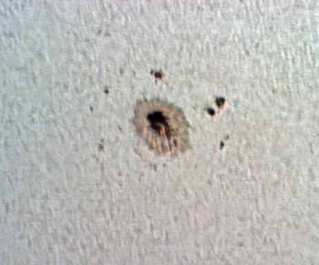 ar12824_23-05-2021-ps.png