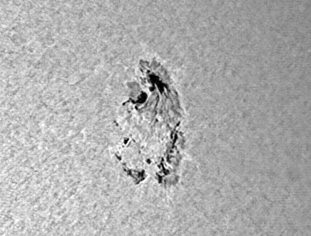 ar12826_26-05-2021-ps.png