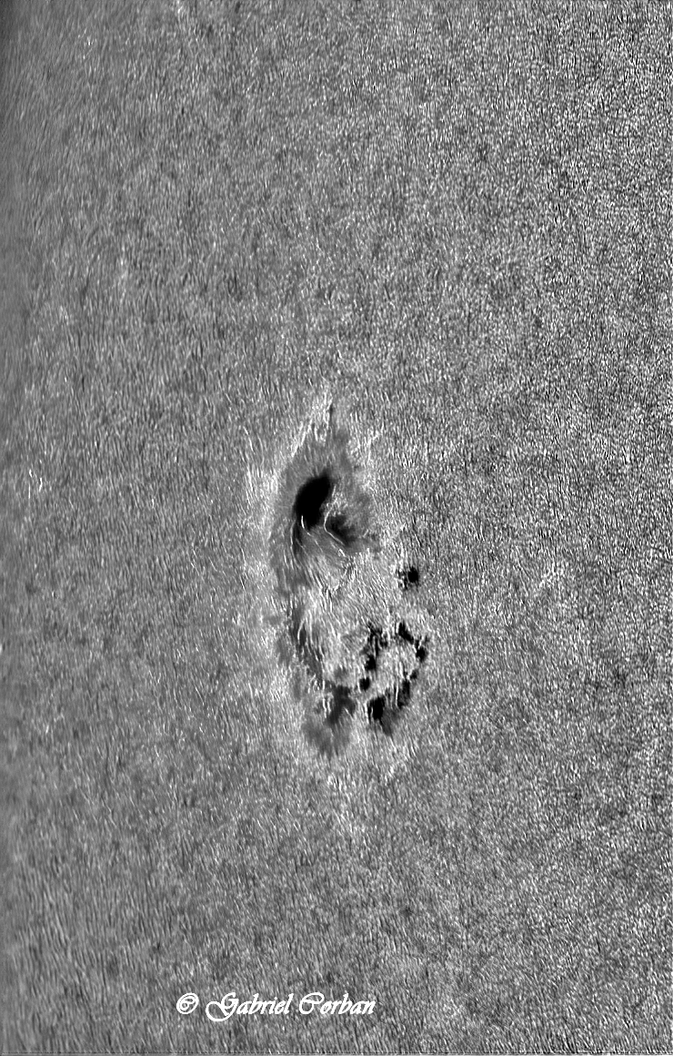 AR12926-2 JPG.jpg