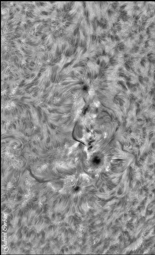AR13285-88 ha.jpg