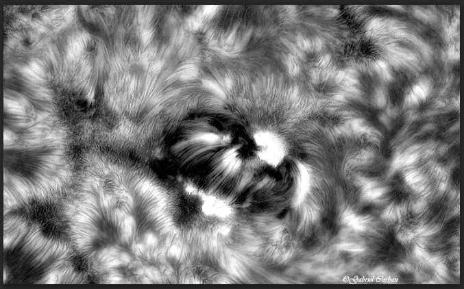 AR13354.jpg