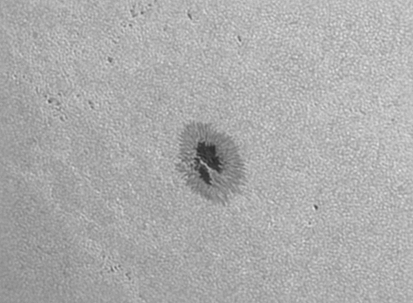 ar3747.jpg