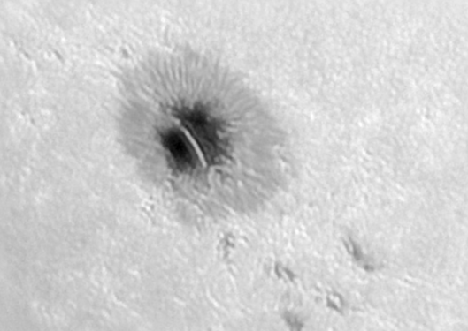 ar3828.jpg