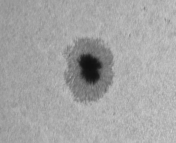 ar3879-b.jpg