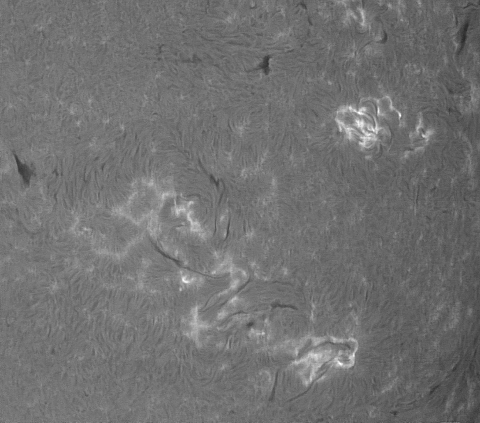 ar4028-4029_h-alpha_20-03-2025.jpg