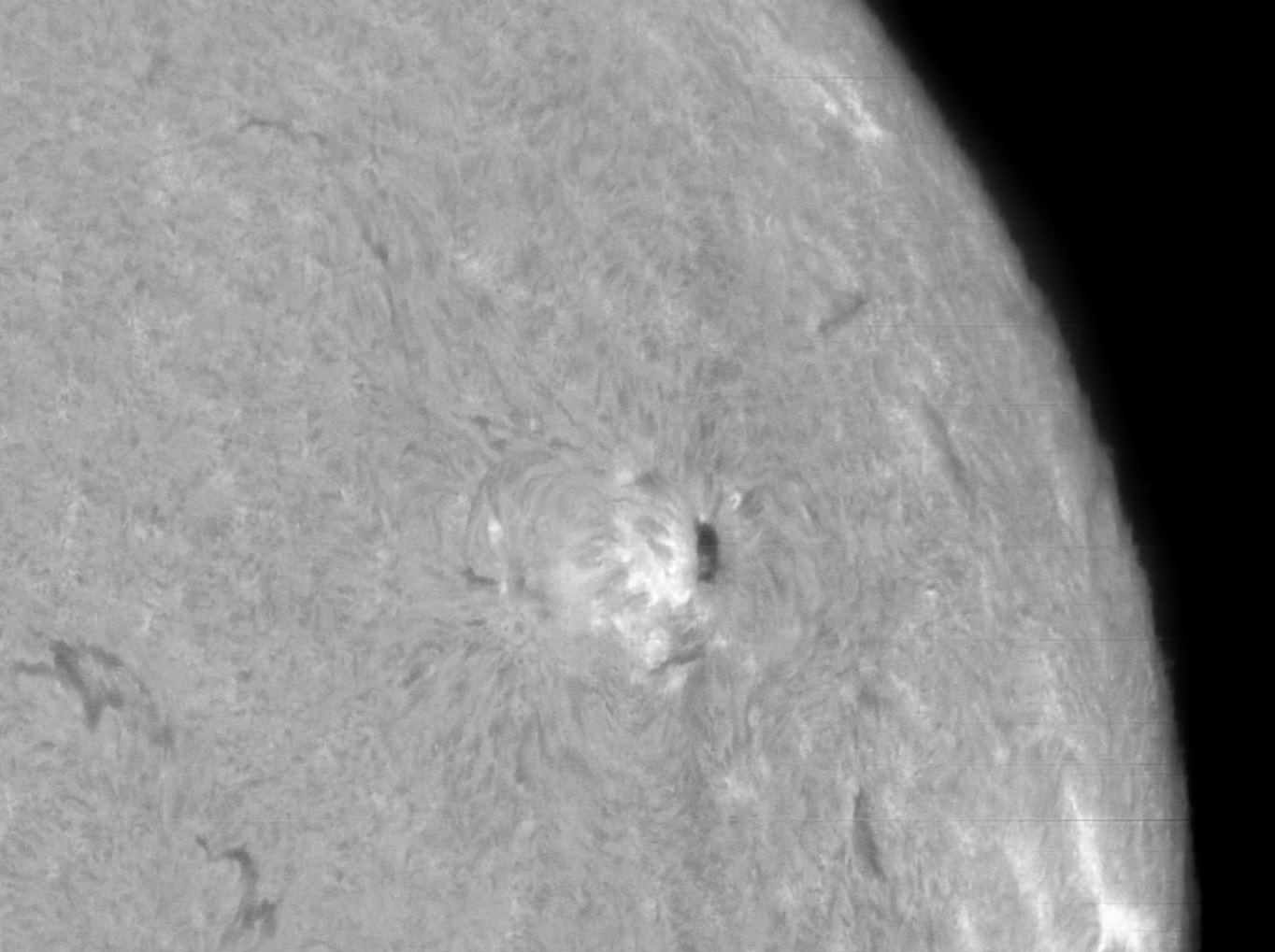 AR4167_SHG80mm_03-08-2025.jpg