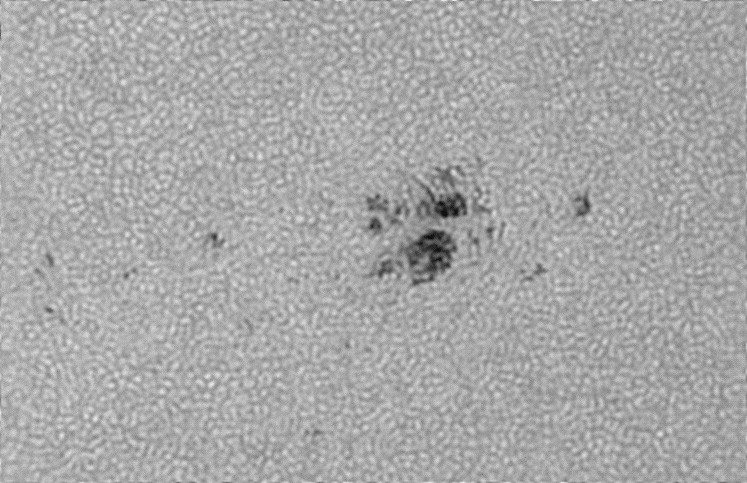 AR4499.jpg