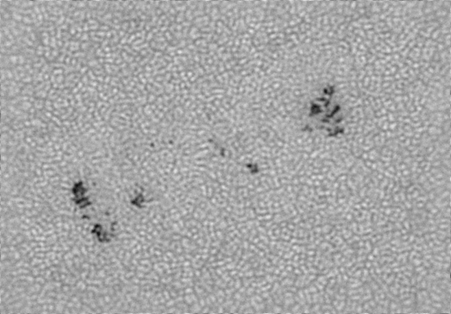 AR4502.jpg