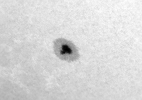 AR4528.jpg
