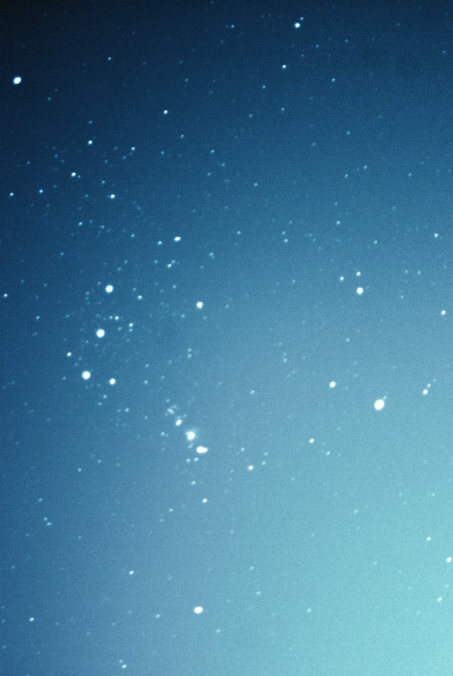 Autosave001 (651 x 970).jpg