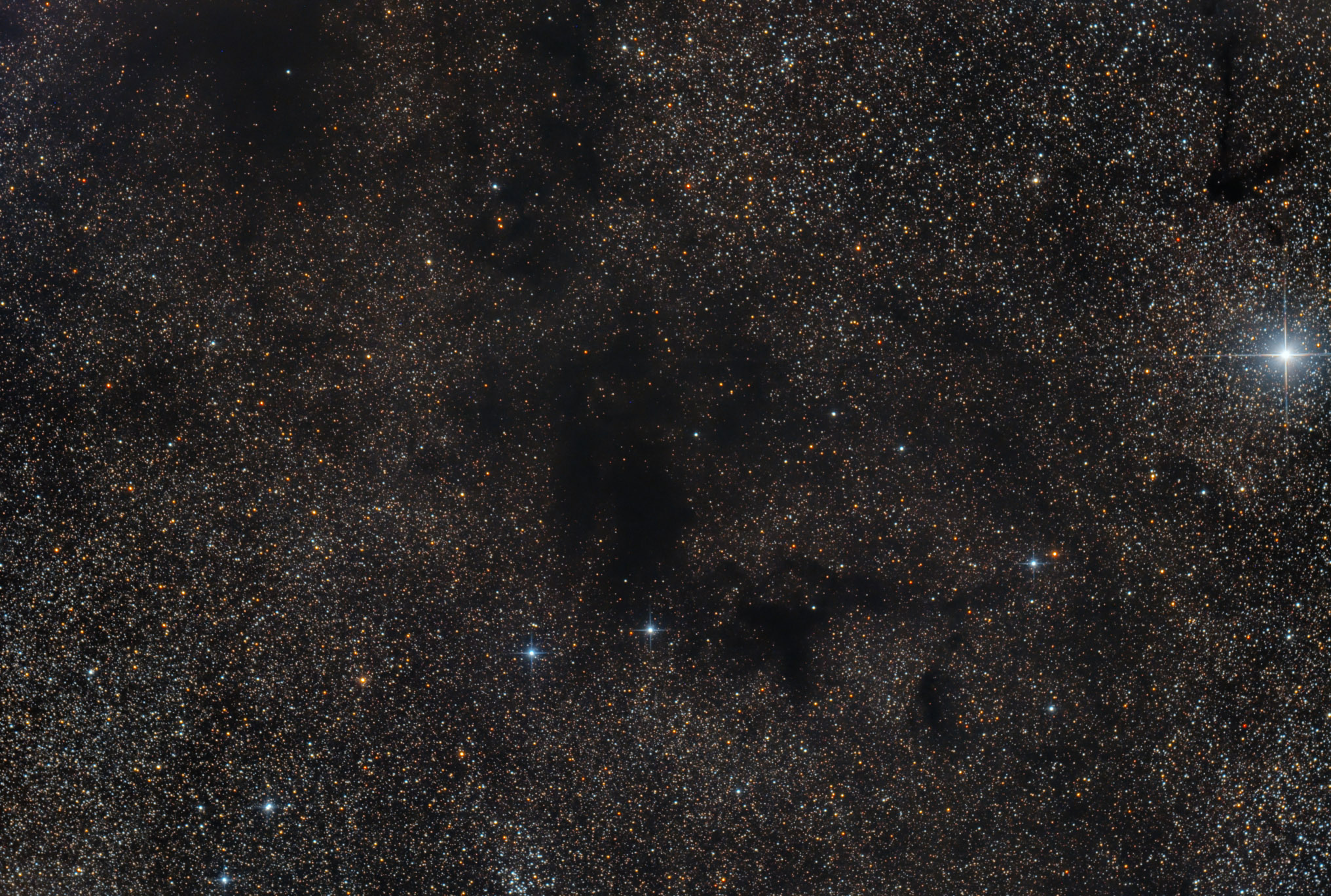 B110.jpg