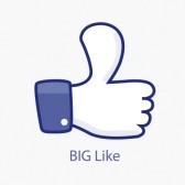 big-like-i-like-it.jpg