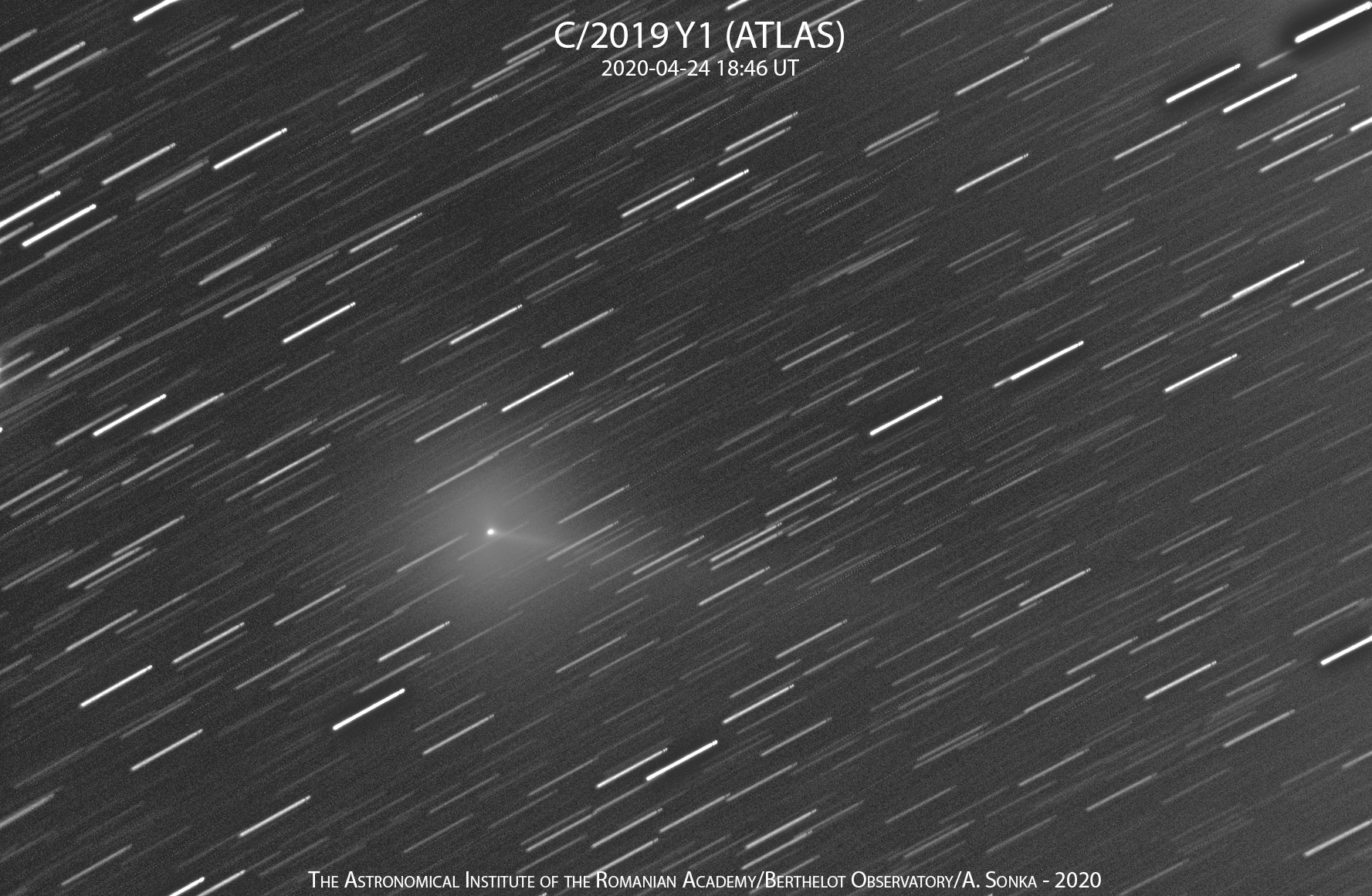 C2019Y1-20200424.jpg