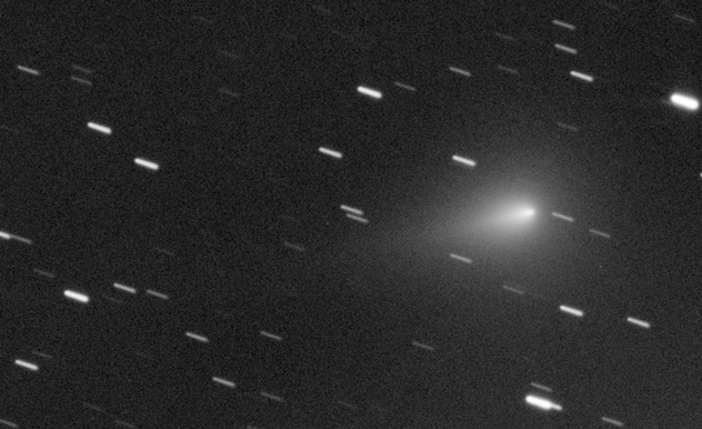 c2019y4_20200402.jpg