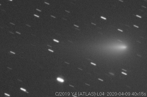 c2019y4_20200409.jpg